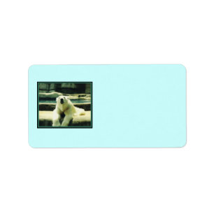 Polar Bear Labels