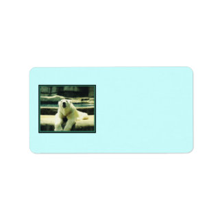Polar Bear Labels