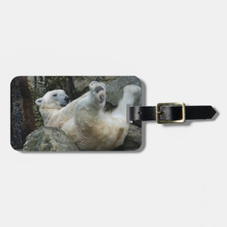 Polar Bear Luggage Tag