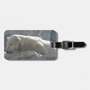 Polar Bear Luggage Tag