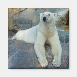 Polar Bear magnet