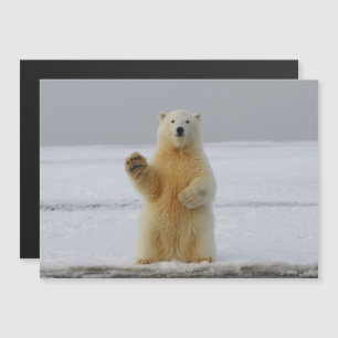 Polar Bear Magnetic Card