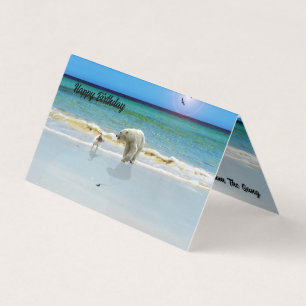 Polar Bear Meets Jack Russell, Birthday Card Pack