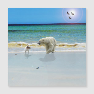 Polar Bear Meets Jack Russell, Magnetic Card