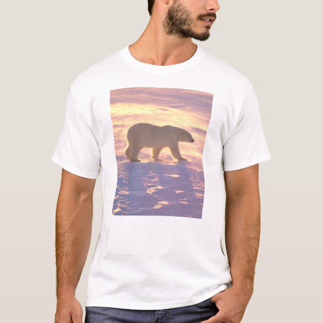 Polar Bear Morn 3 T-Shirt (Front)