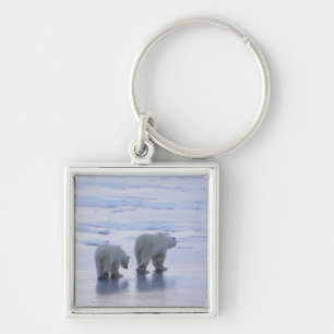 Polar Bear Mother and Cub Key Ring