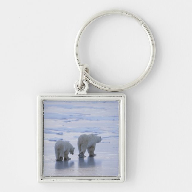 Polar Bear Mother and Cub Key Ring (Front)