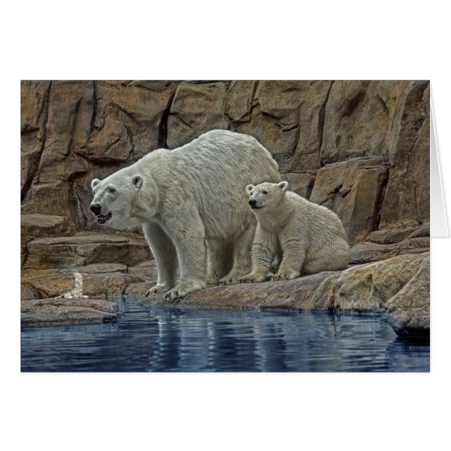 Polar Bear Mother & Cub (Front Horizontal)