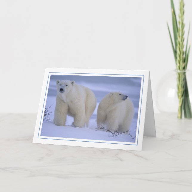 Polar Bear Mother with Cub in Snow Holiday Card (Front)