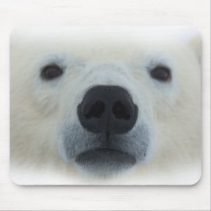 Polar Bear Mouse Pad