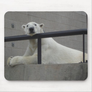 Polar Bear Mouse Pad