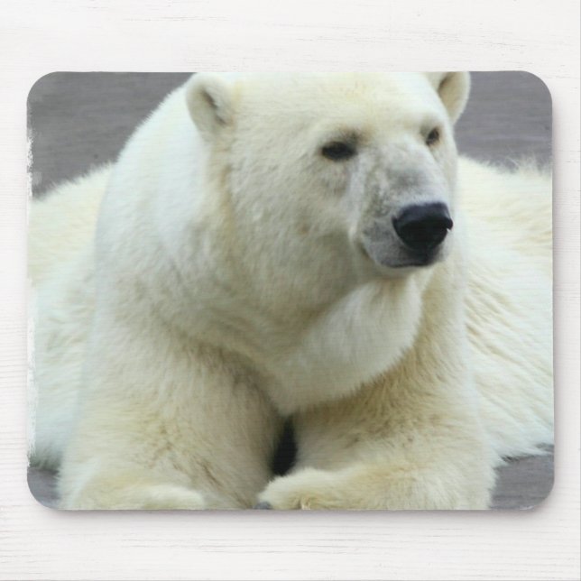 Polar Bear Mouse Pad (Front)