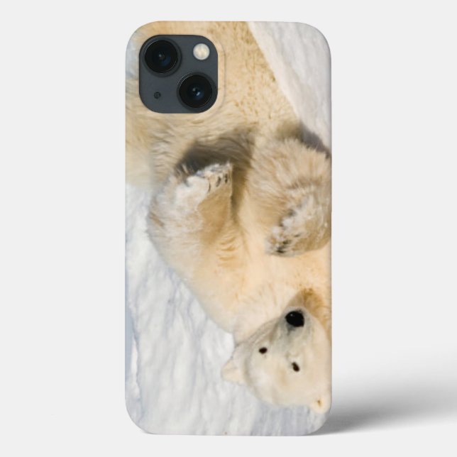 Polar Bear near Hudson Bay Case-Mate iPhone Case (Back)