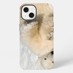 Polar Bear near Hudson Bay iPhone 13 Case