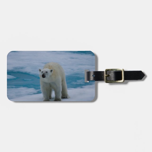Polar Bear on pack ice Luggage Tag (Front Horizontal)