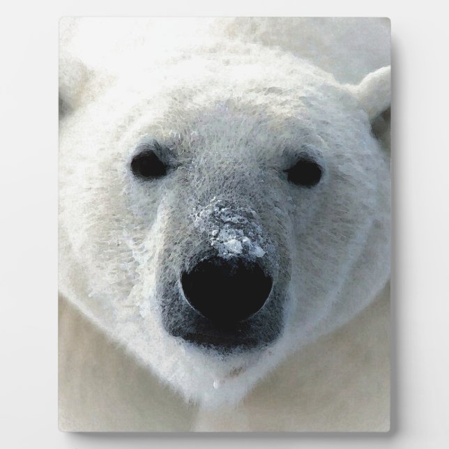 Polar Bear Plaque (Front)