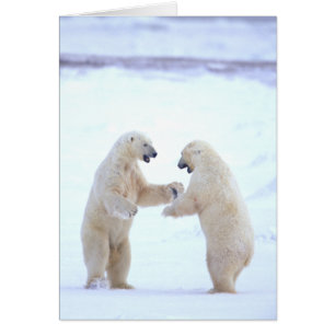 Polar Bear Play Card