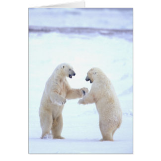 Polar Bear Play Card