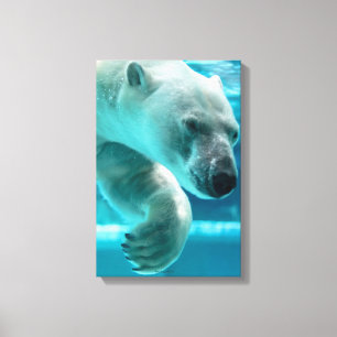 Polar Bear Plunge Clear Blue Water (Portrait) Canvas Print