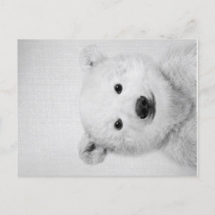 Polar-bear, Polar-bear Canvas Gift for Her  Announcement Postcard