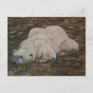 Polar Bear Post Card
