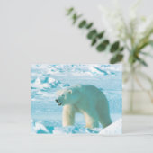 Polar Bear Postcard (Standing Front)