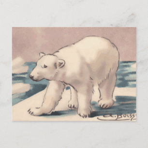 Polar Bear Postcard
