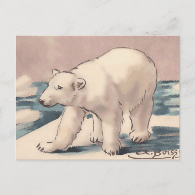 Polar Bear Postcard (Front)