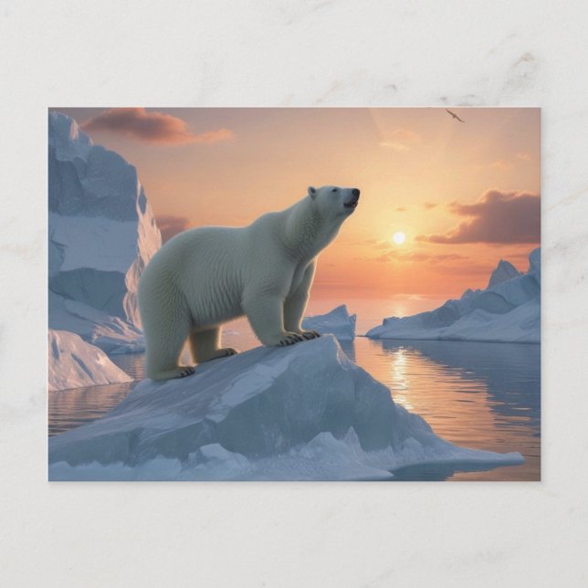  Polar Bear Postcard (Front)