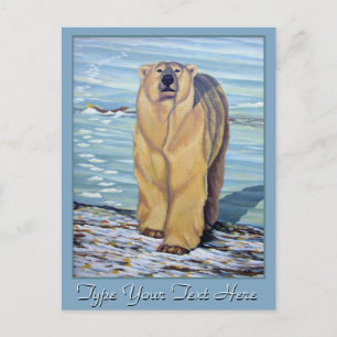 Polar Bear Postcard Polar Bear Art Postcards
