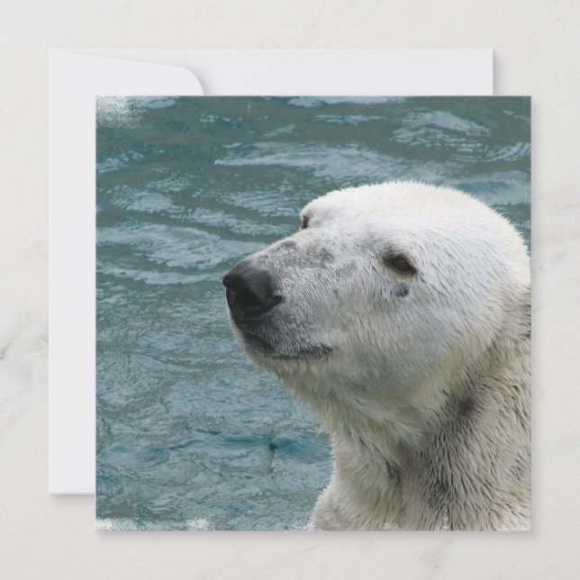Polar Bear Profile Invitation (Front)