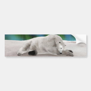 Polar Bear Resting Bumper Sticker