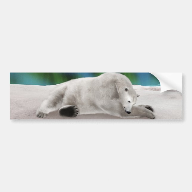 Polar Bear Resting Bumper Sticker (Front)