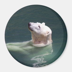 Polar bear resting magnet