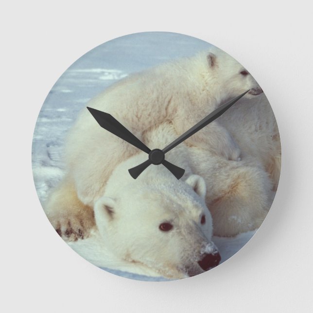Polar Bear Round Clock (Front)