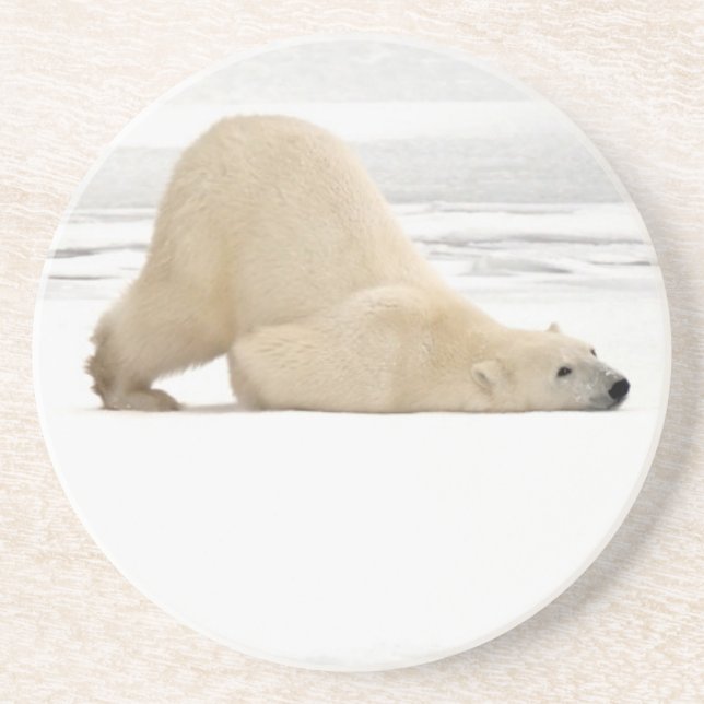 Polar bear scratching itself on frozen tundra coaster (Front)