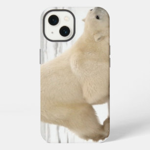 Polar bear scratching itself on frozen tundra iPhone 13 case