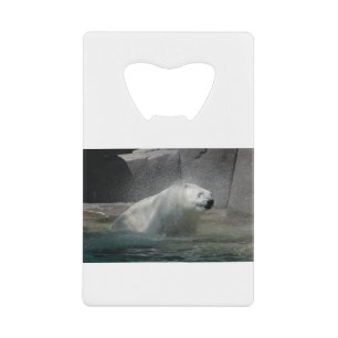 Polar Bear Shaking off water