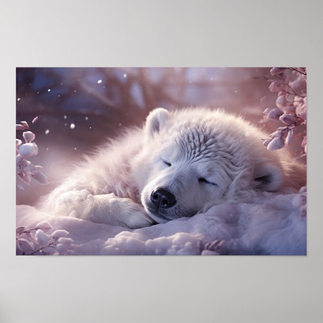 Polar Bear Sleeping Poster (Front)