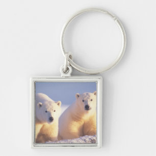Polar bear sow with cub on pack ice key ring