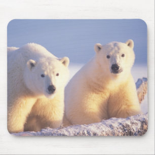 Polar bear sow with cub on pack ice mouse pad