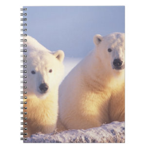 Polar bear sow with cub on pack ice notebook