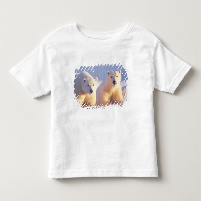 Polar bear sow with cub on pack ice toddler T-Shirt (Front)