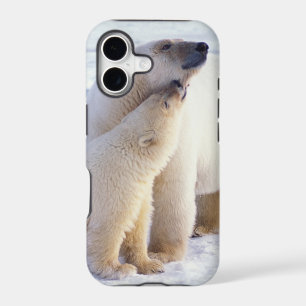 Polar bear sow with cub, pack