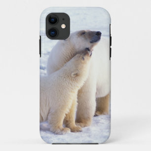 Polar bear sow with cub, pack iPhone 11 case