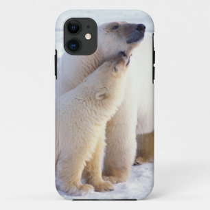 Polar bear sow with cub, pack Case-Mate iPhone case