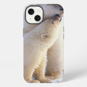 Polar bear sow with cub, pack iPhone 13 case