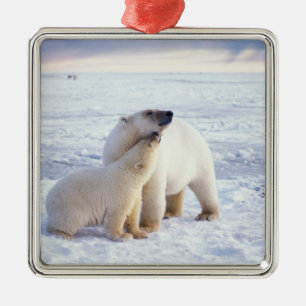 Polar bear sow with cub, pack metal tree decoration
