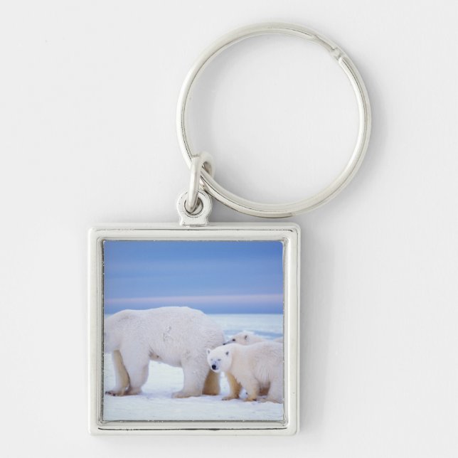 Polar bear sow with cubs key ring (Front)