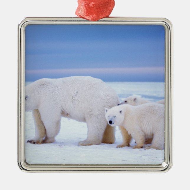Polar bear sow with cubs metal tree decoration (Front)